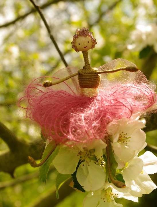Apple blossum