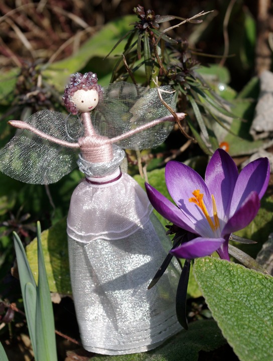 sari crocus HG